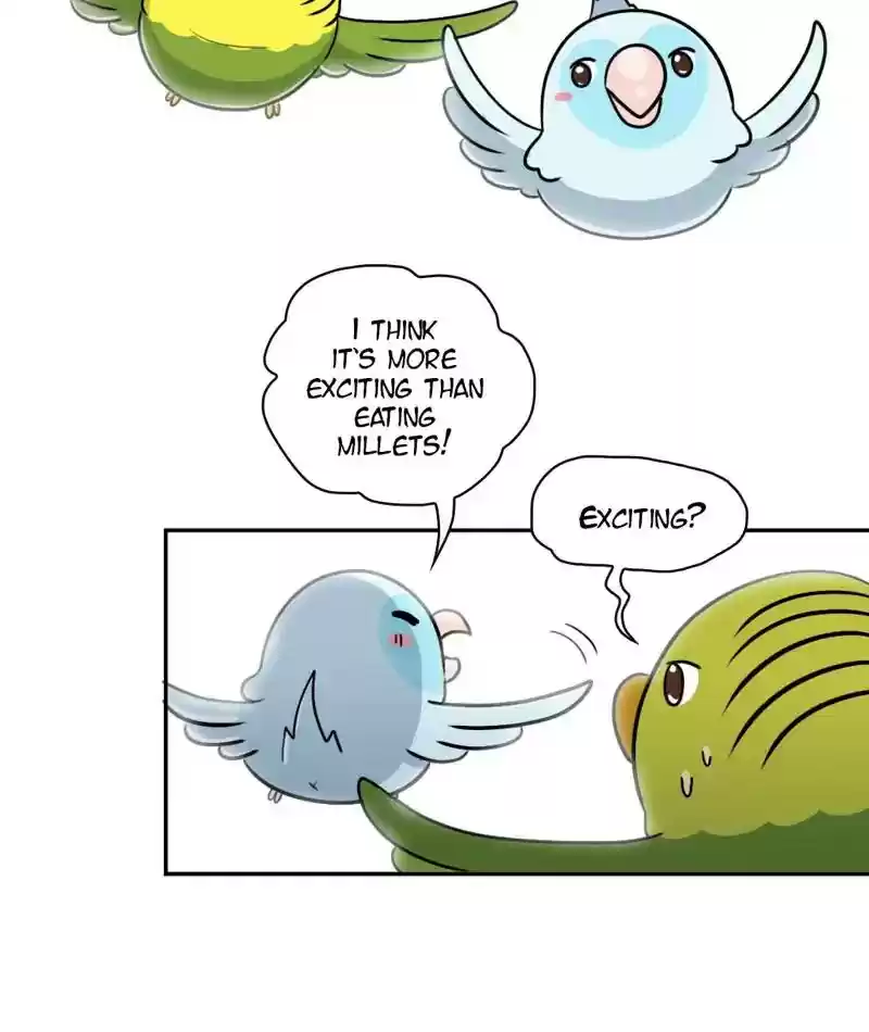 A Budgie's Life Chapter 267: Ep.266: