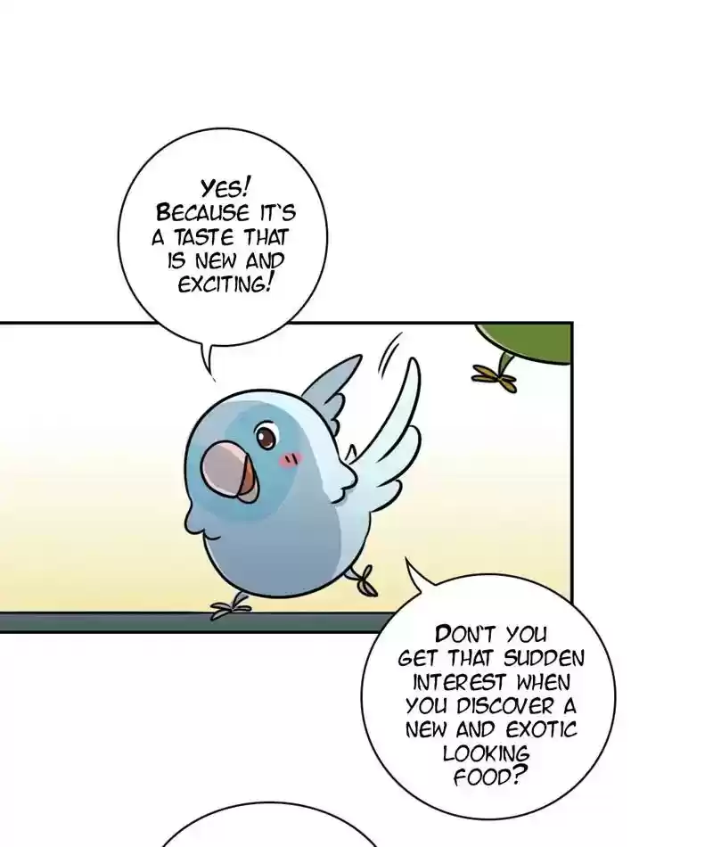 A Budgie's Life Chapter 267: Ep.266:
