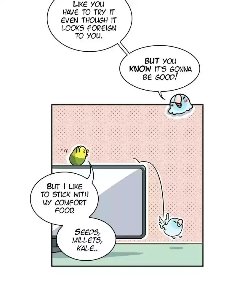 A Budgie's Life Chapter 267: Ep.266: