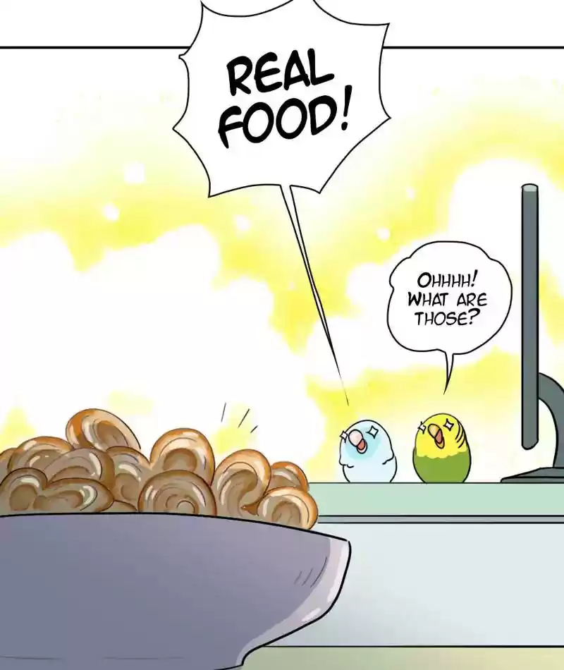 A Budgie's Life Chapter 267: Ep.266: