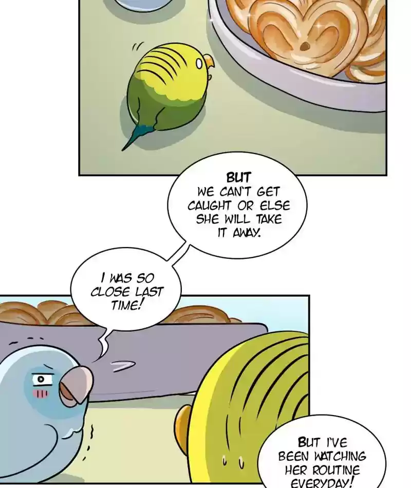 A Budgie's Life Chapter 267: Ep.266: