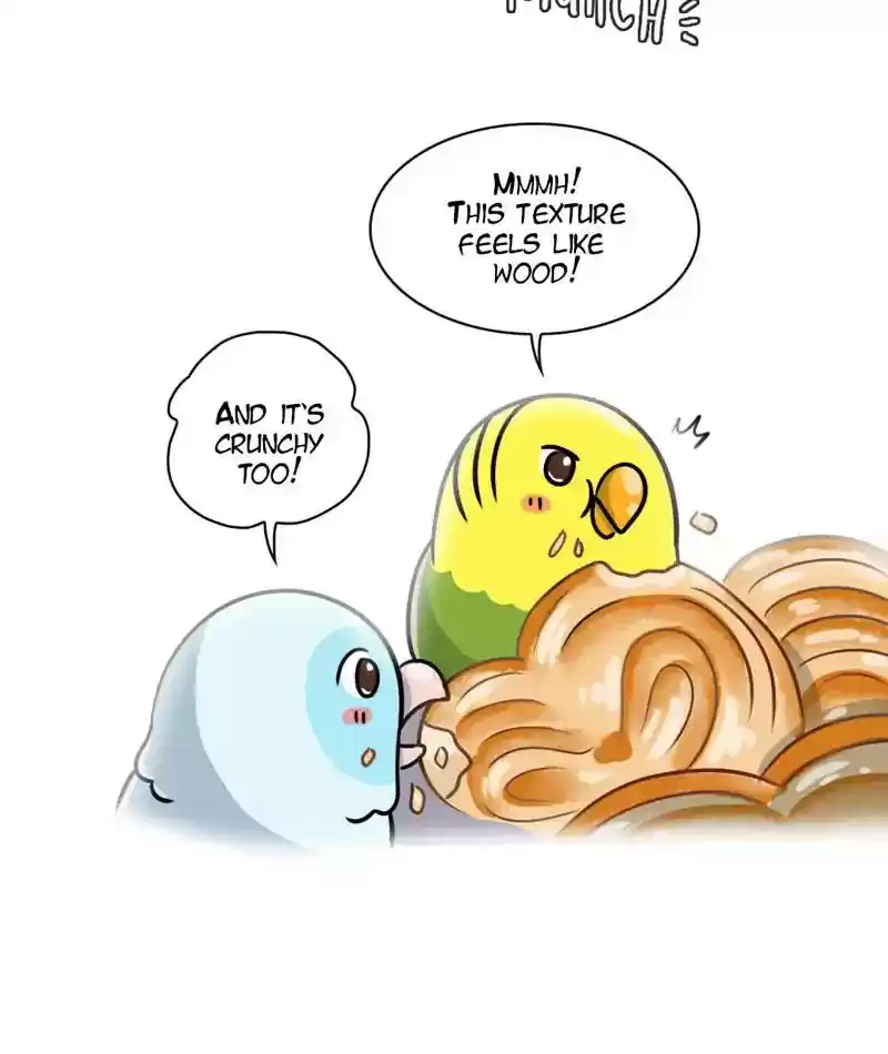 A Budgie's Life Chapter 267: Ep.266: