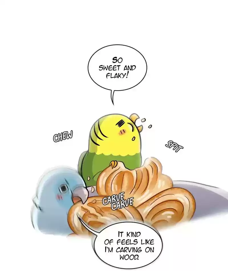 A Budgie's Life Chapter 267: Ep.266: