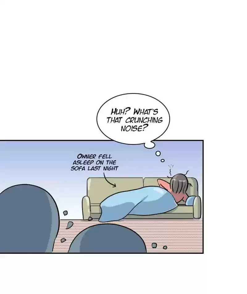 A Budgie's Life Chapter 267: Ep.266: