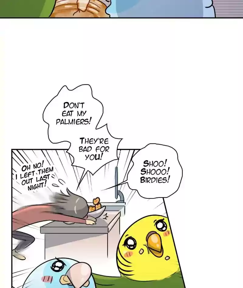 A Budgie's Life Chapter 267: Ep.266: