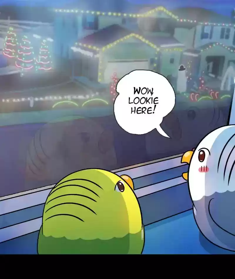 A Budgie's Life Chapter 268: Ep.267: