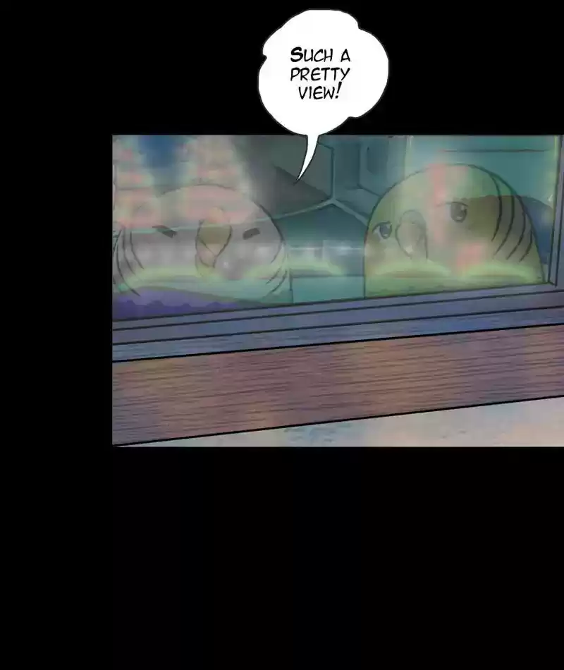 A Budgie's Life Chapter 268: Ep.267: