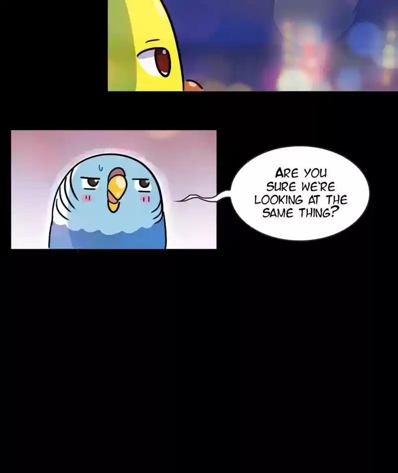 A Budgie's Life Chapter 268: Ep.267: