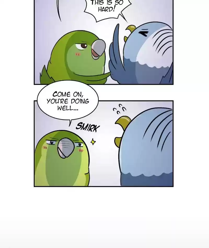 A Budgie's Life Chapter 268: Ep.267: