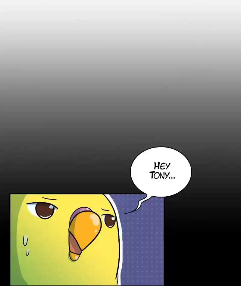 A Budgie's Life Chapter 268: Ep.267: