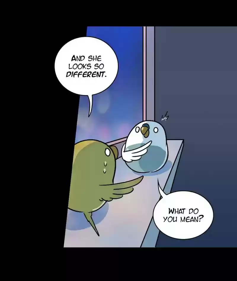 A Budgie's Life Chapter 268: Ep.267: