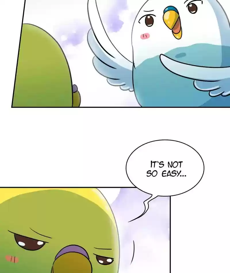 A Budgie's Life Chapter 268: Ep.267: