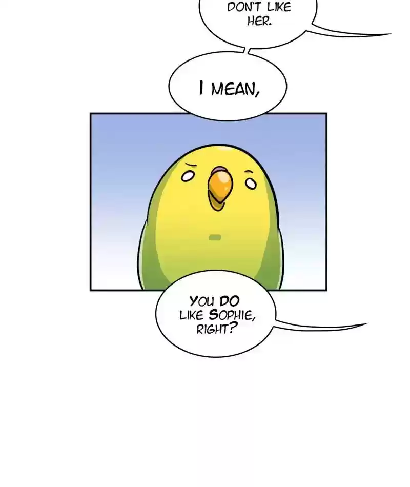 A Budgie's Life Chapter 268: Ep.267: