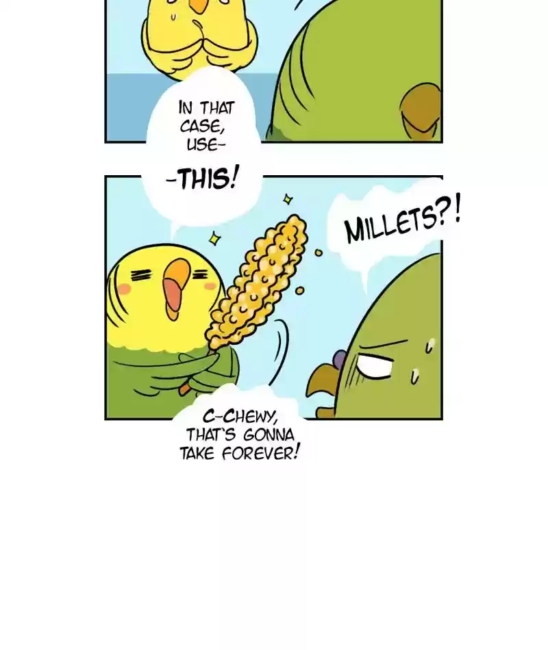 A Budgie's Life Chapter 268: Ep.267: