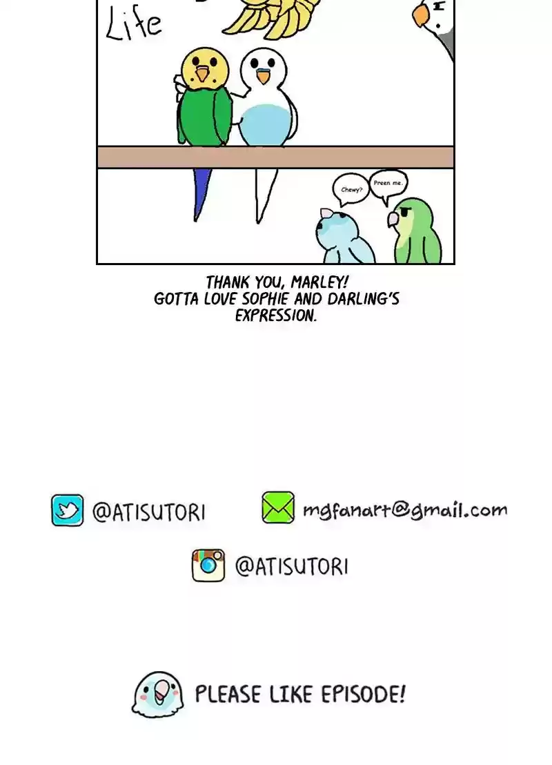 A Budgie's Life Chapter 268: Ep.267: