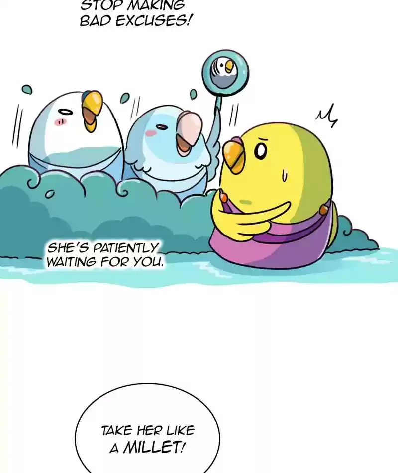 A Budgie's Life Chapter 269: Ep.268: