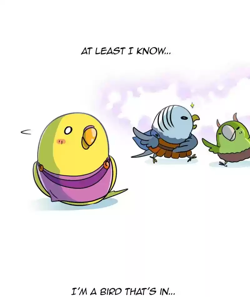 A Budgie's Life Chapter 269: Ep.268: