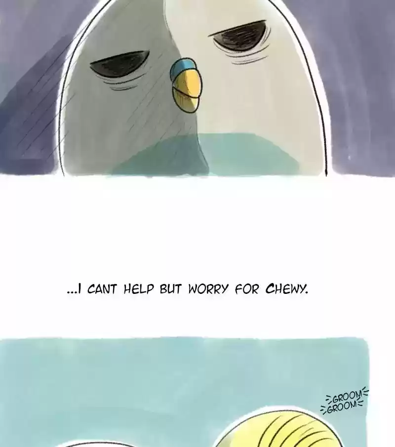 A Budgie's Life Chapter 27: Ep.27: