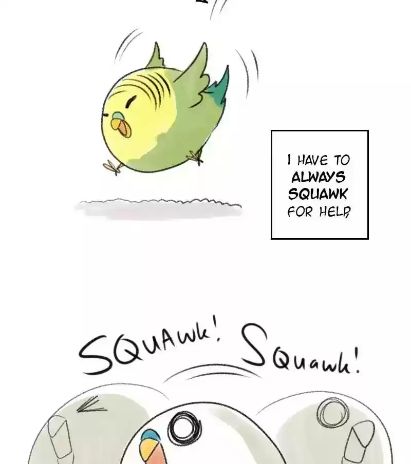 A Budgie's Life Chapter 27: Ep.27: