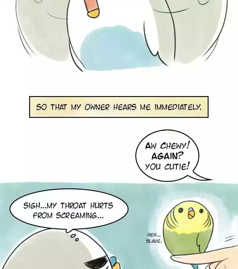 A Budgie's Life Chapter 27: Ep.27: