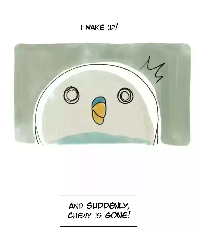 A Budgie's Life Chapter 27: Ep.27: