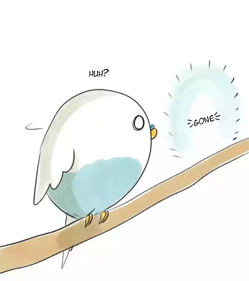 A Budgie's Life Chapter 27: Ep.27: