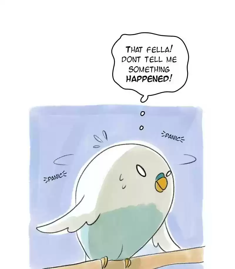 A Budgie's Life Chapter 27: Ep.27: