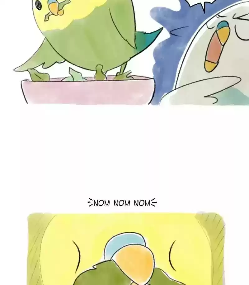 A Budgie's Life Chapter 27: Ep.27: