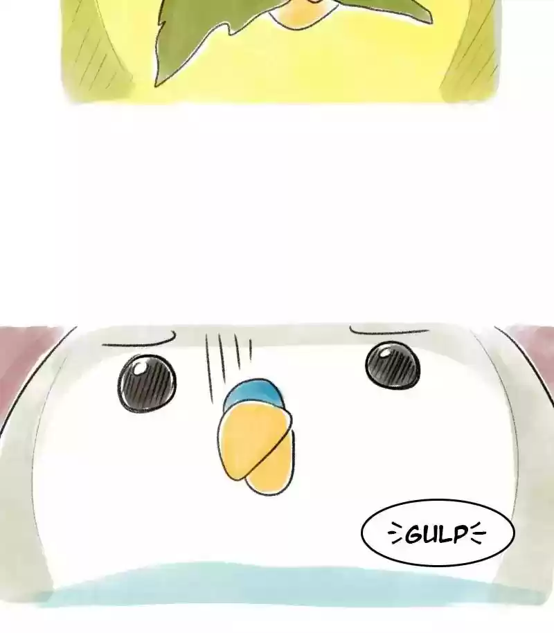 A Budgie's Life Chapter 27: Ep.27: