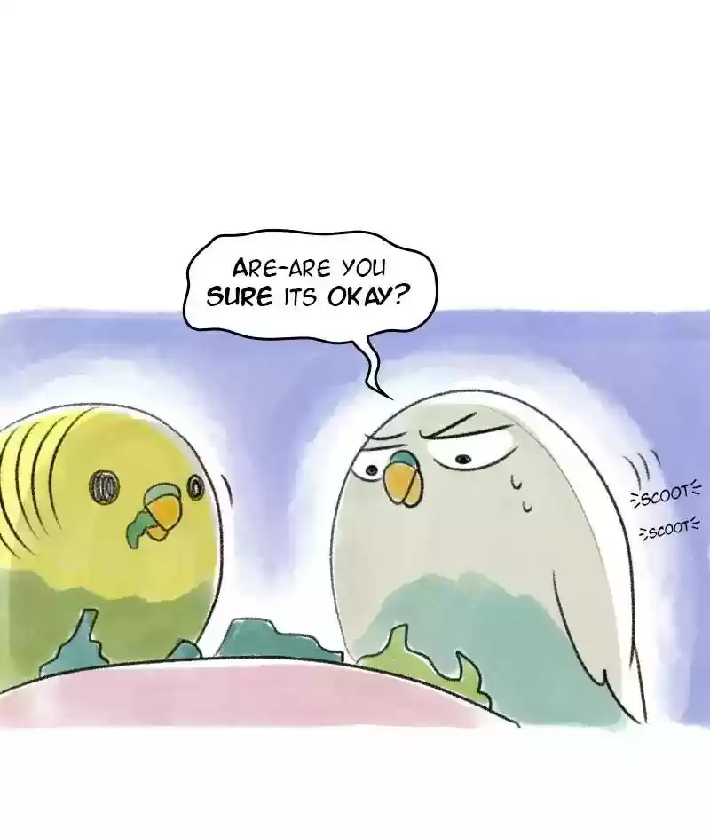 A Budgie's Life Chapter 27: Ep.27:
