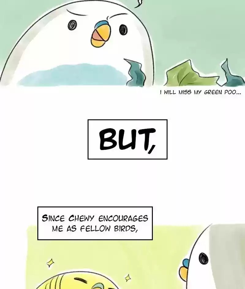 A Budgie's Life Chapter 27: Ep.27: