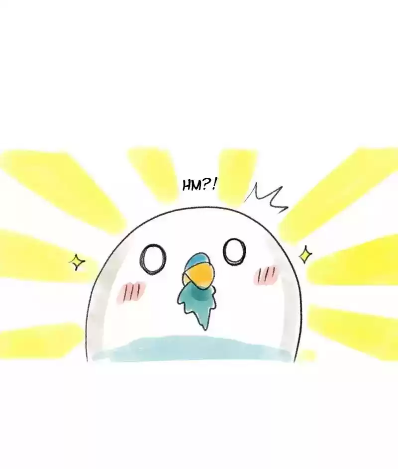 A Budgie's Life Chapter 27: Ep.27:
