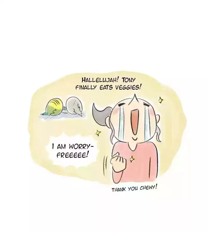 A Budgie's Life Chapter 27: Ep.27: