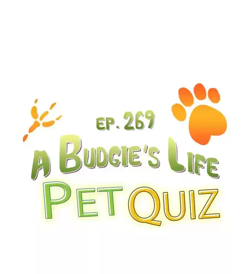 A Budgie's Life Chapter 270: Ep.269: