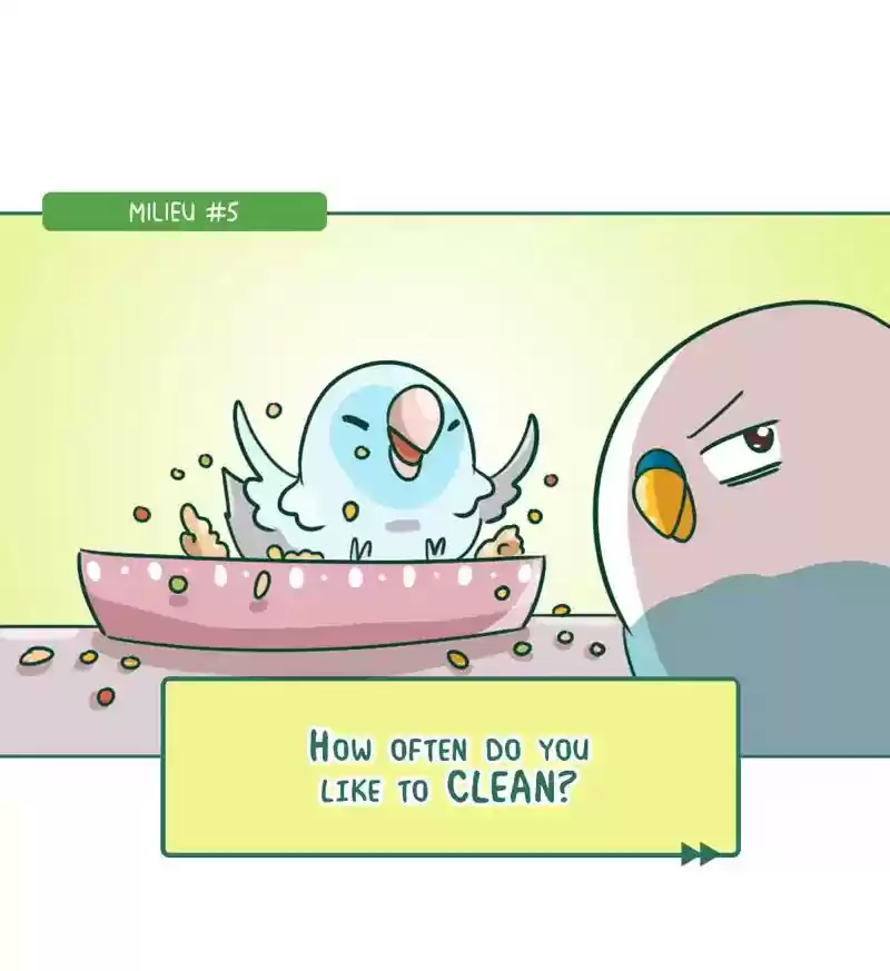 A Budgie's Life Chapter 270: Ep.269: