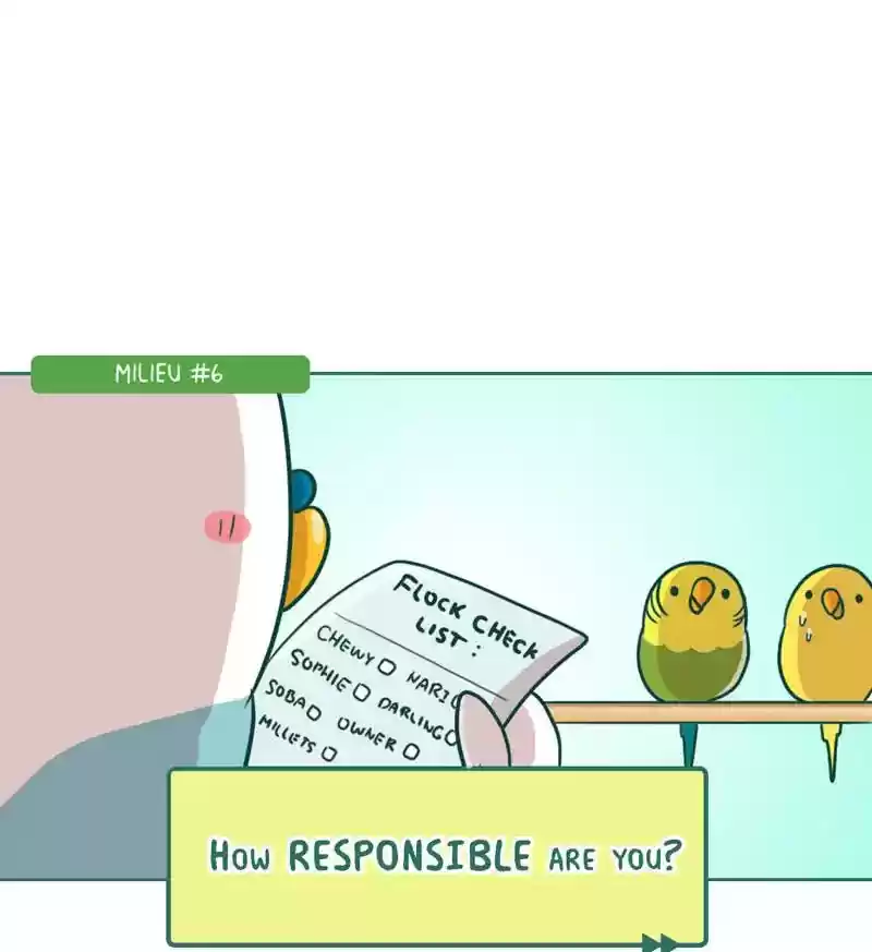 A Budgie's Life Chapter 270: Ep.269: