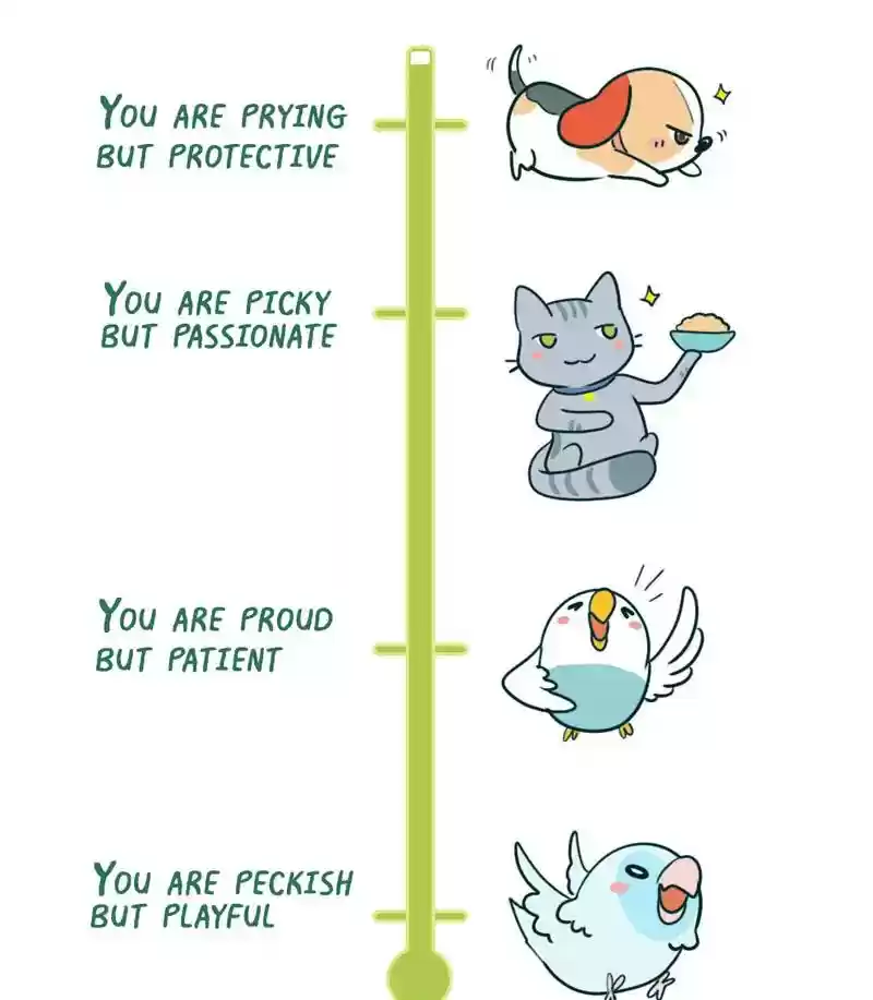 A Budgie's Life Chapter 270: Ep.269: