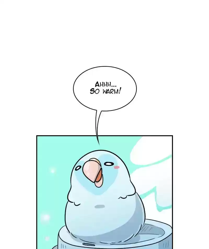 A Budgie's Life Chapter 271: Ep.270: