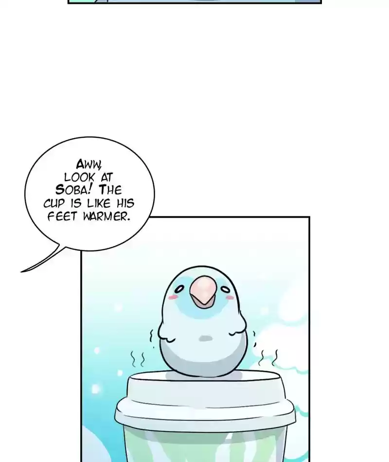 A Budgie's Life Chapter 271: Ep.270: