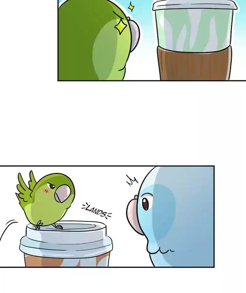 A Budgie's Life Chapter 271: Ep.270: