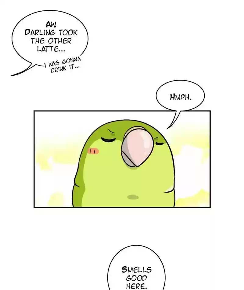 A Budgie's Life Chapter 271: Ep.270: