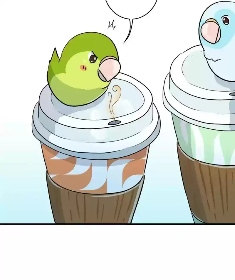 A Budgie's Life Chapter 271: Ep.270: