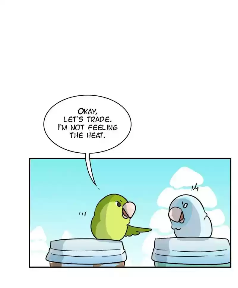 A Budgie's Life Chapter 271: Ep.270: