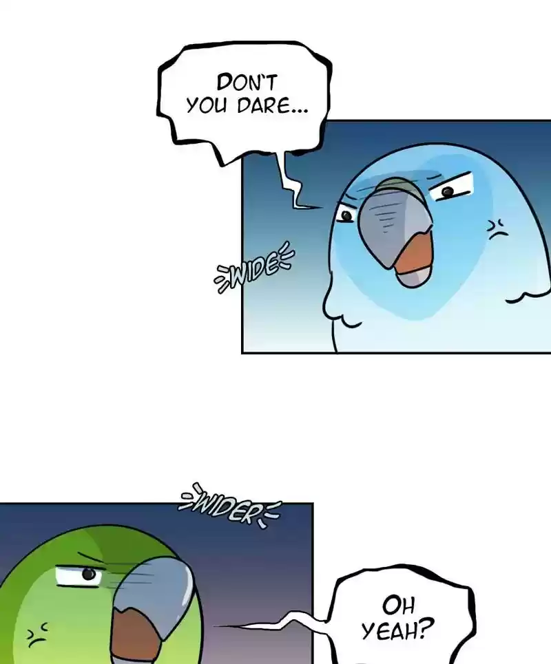 A Budgie's Life Chapter 271: Ep.270:
