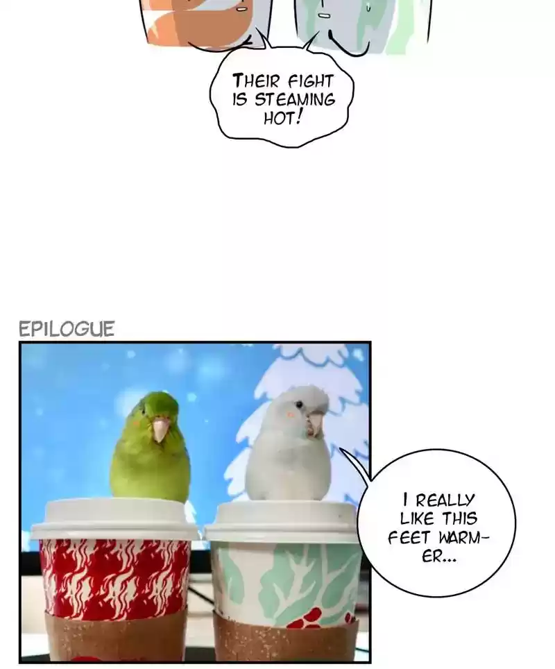 A Budgie's Life Chapter 271: Ep.270: