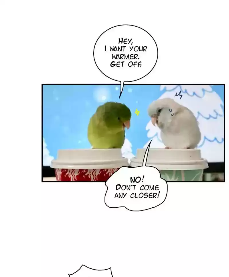 A Budgie's Life Chapter 271: Ep.270: