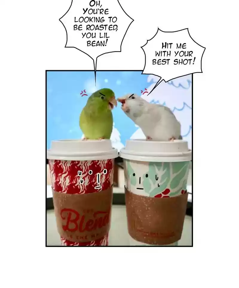 A Budgie's Life Chapter 271: Ep.270: