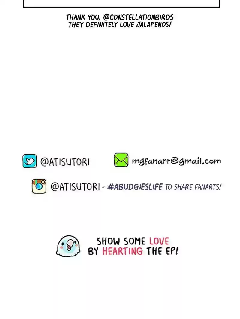 A Budgie's Life Chapter 271: Ep.270: