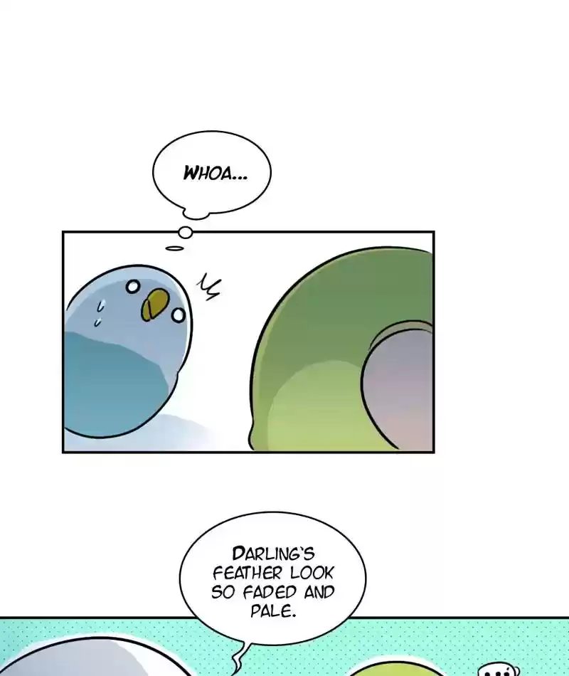 A Budgie's Life Chapter 272: Ep.271: