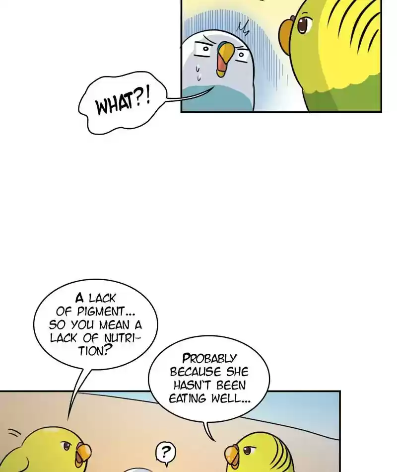 A Budgie's Life Chapter 272: Ep.271: